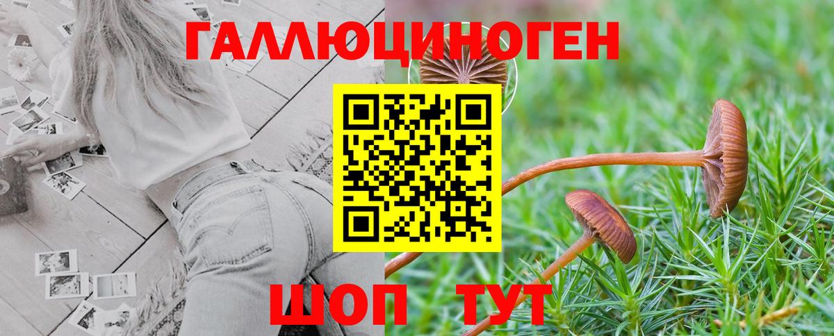 Сарапул  Галлюциногенные грибы прущие грибы  Вход с VPN 